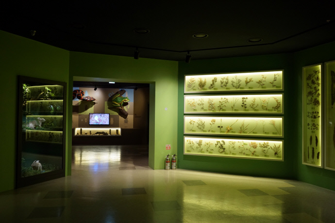 강화자연사박물관 2층 '생태계와 먹이사슬' 전시 모습