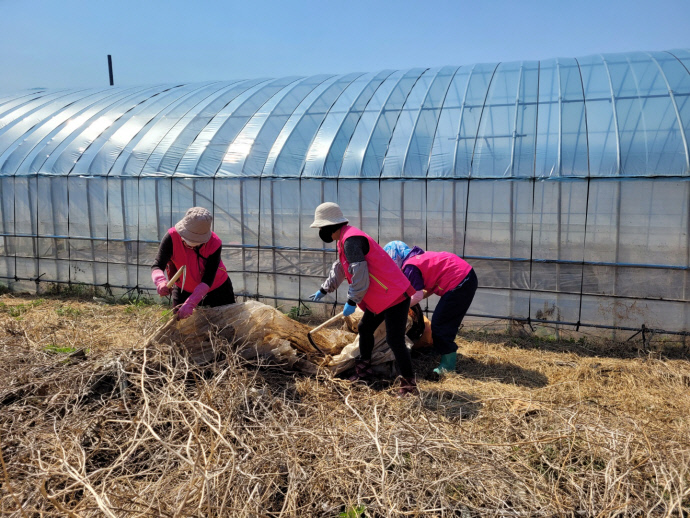 인천옹진군 농가주부모임 회원들이 영농폐기물을 수거하고 있다.