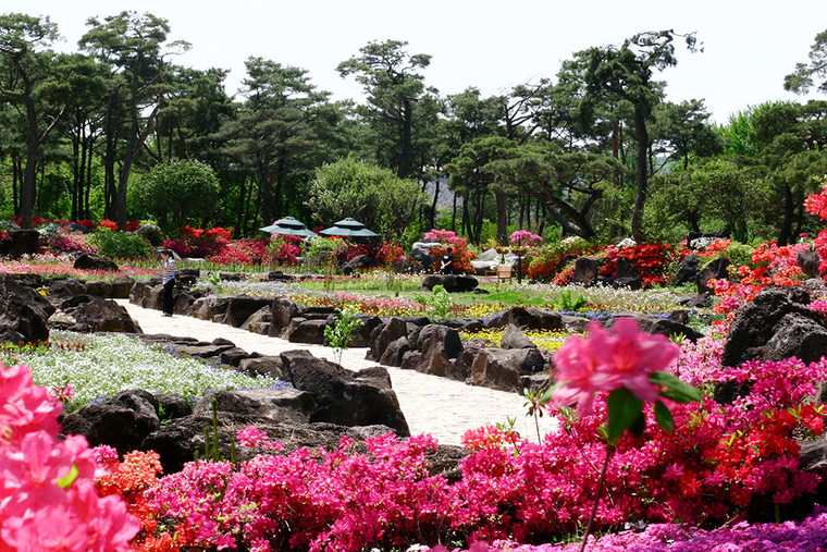 Image=Paju Byukchoji Garden