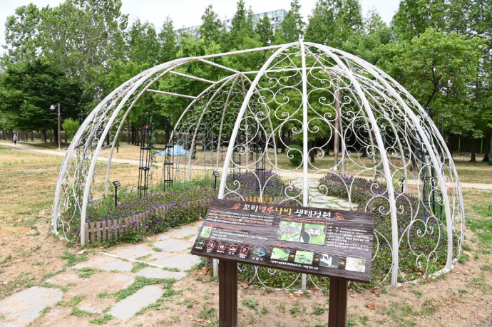 쥐방울덩굴의 지주 역할 및 애벌레와 나비를 보호할 수 있도록 서호공원에 설치된 꼬리명주나비 생태정원. 사진=수원시청