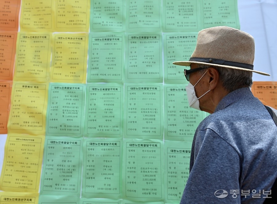 21일 오후 수원시 화성행궁 광장에서 열린 제11회 수원시 노인 일자리 채용한마당에서 어르신들이 채용 정보 게시판을 살펴보고 있다. 노민규기자