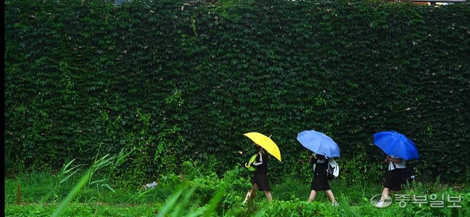 서울·인천·경기 지역에 호우주의보가 내려며 본격적인 장마가 시작된 23일 오후 수원시 화홍문 인근에서 학생들이 우산을 쓰고 수원천변을 걷고 있다. 노민규기자