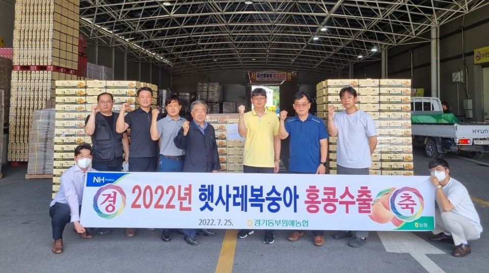 햇사레과일조합공동사업법인은 대한민국 대표 농산물 브랜드 햇사레 복숭아가 지난 7월 25일 첫 수출길에 올랐다. 사진=이천시