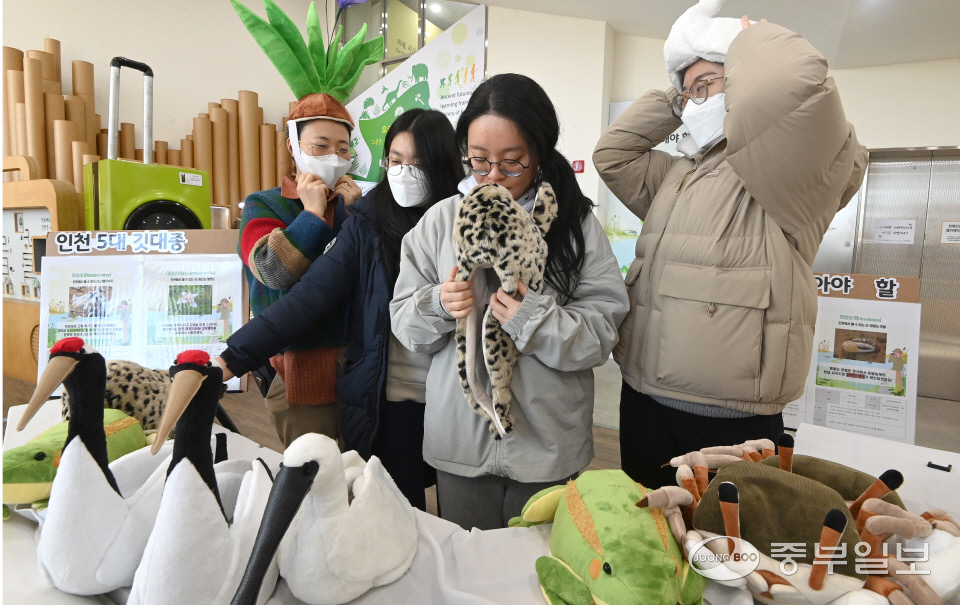 30일 인천 미추홀구 인천업사이클에코센터에서 열린 ‘인형으로 만나는 인천 5대 깃대종(저어새, 금개구리, 점박이 물범, 흰발 농게, 대청부채)’ 전시를 찾은 시민들이 깃대종 인형을 관람하고 있다.정선식기자