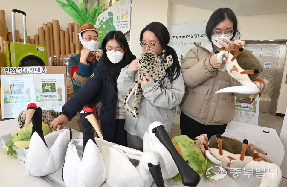 30일 인천 미추홀구 인천업사이클에코센터에서 열린 ‘인형으로 만나는 인천 5대 깃대종(저어새, 금개구리, 점박이 물범, 흰발 농게, 대청부채)’ 전시를 찾은 시민들이 깃대종 인형을 관람하고 있다.정선식기자