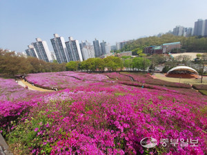 군포 철쭉축제 올해도 취소 < 군포시 < 경기 < 기사본문 - 중부일보 - 경기·인천의 든든한 친구