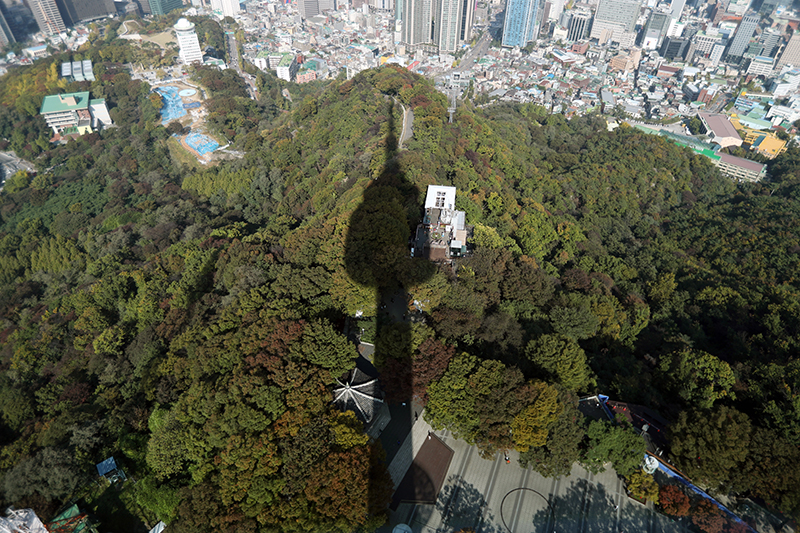▲ 단풍철을 앞둔 서울 남산의 나무들이 저마다 가을 채비를 하며 17일 색이 조금씩 바뀌고 있다. 연합