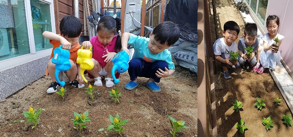 스마트 에코시티 조성 사업 일환으로 서구에서 초화를 제공받은 아이들이 꽃을 심고 있다. 사진=서구청