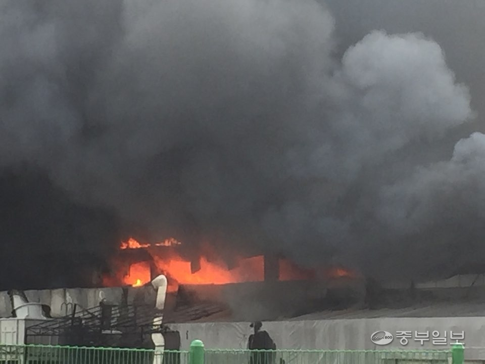 25일 오후 4시26분께 시흥시 시화공단의 한 플라스틱 공장에서 화재가 발생했다. 사진=김형수기자