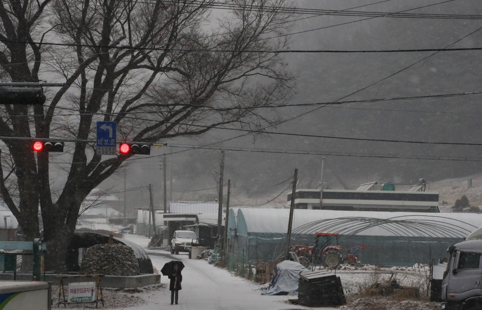 눈이 내린 주말인 16일 아침 충남 금산군 추부면 한 마을 어귀에서 주민이 누군가를 기다리고 있다. 사진=연합뉴스