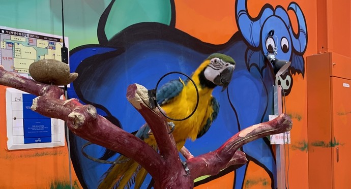하이브 패밀리 테마파크의 동물원 코너에서는 동물에게 직접 먹이를 줄 수 있다. 사진=박지희·신다빈 인턴기자