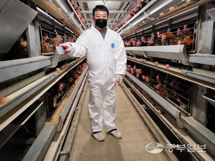 김창수 청남축산·청남농원 대표가 평택시에 위치한 그의 계사에서 계란을 관리하는 모습. 윤진현기자