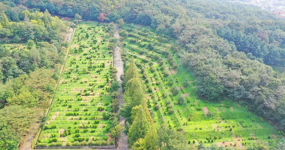 안산시가 설 연휴 기간 관내 공설공원묘지 16곳의 운영을 중단하고, 온라인 추모·성묘서비스를 제공한다. 사진은 꽃빛공원 묘지 전경. 사진=안산시청