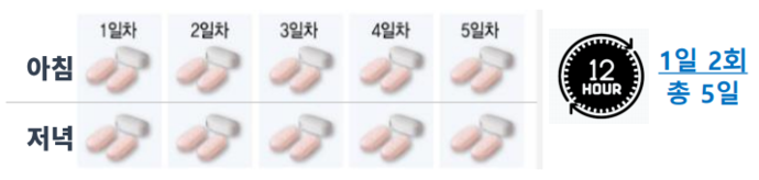 과천시가 오는 14일부터 65세 이상 또는 면역력이 저하된 코로나19 환자에게 경구용 치료제를 처방하고 투약에 들어간다. 사진=과천시청