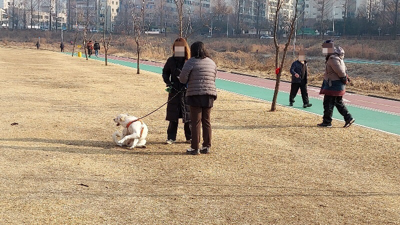 사람과 동물이 함께하는 행복한 도시 만들기