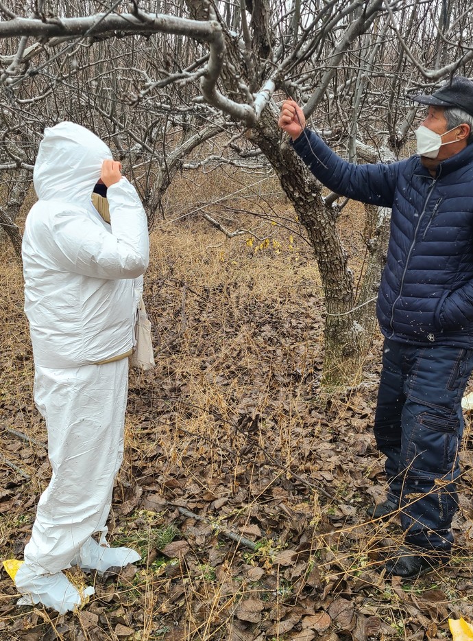 이천시농업기술센터는 사과·배 과원 농작업자 및 관련 산업종사자를 대상으로 18일 과수화상병 예방수칙을 강화를 위해 행정 명령을 발령했다. 사진=이천시청