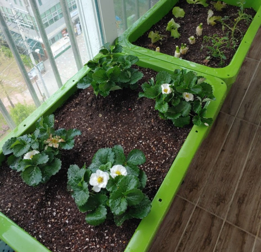 3.(사진)상자텃밭 지원사업(1)