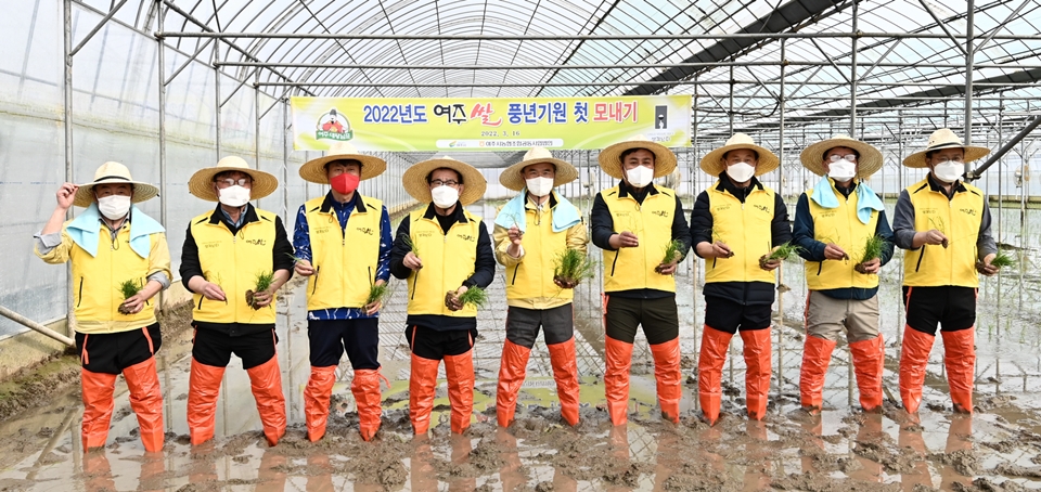 여주시가 16일 2022년도 첫 모내기를 실시했다. 사진=여주시청