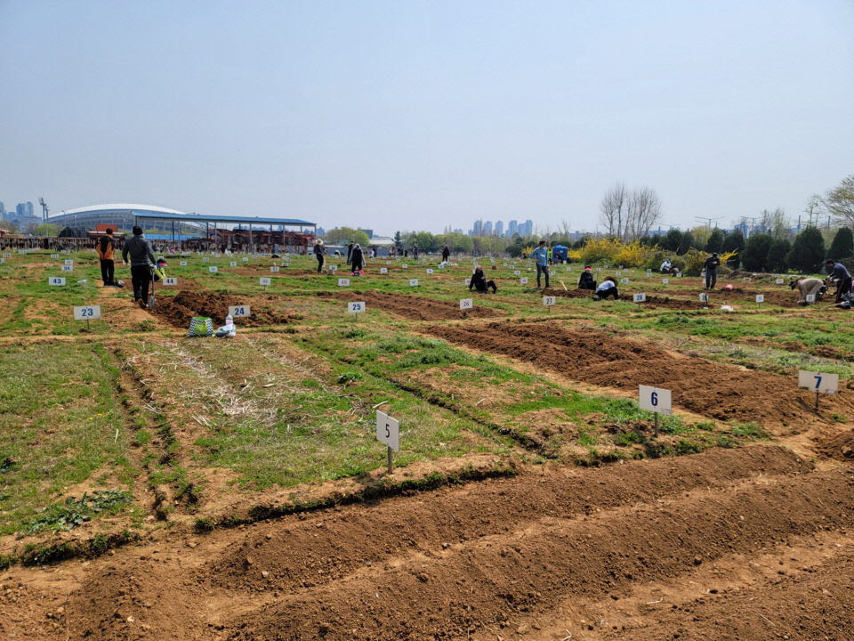 4. 안산시, 도심 속 가족과 함께하는 주말농장 개장