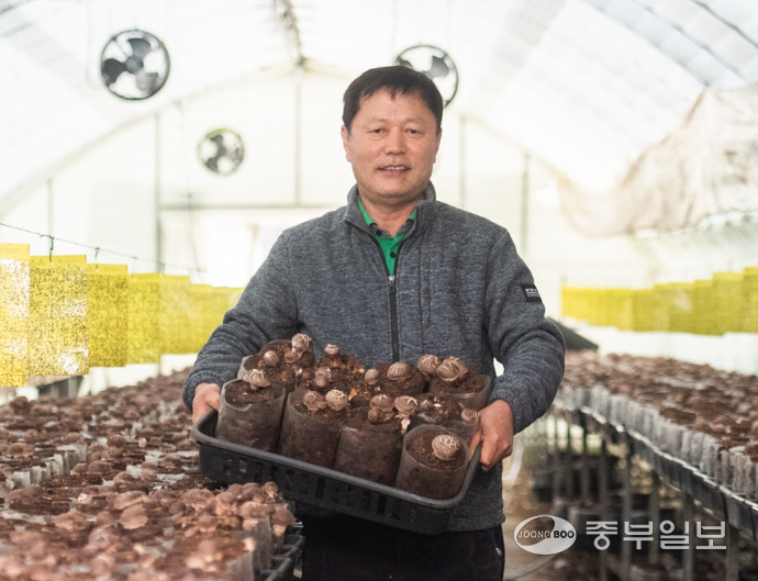 11일 오전 성남시 중원구 갈형동에서 만난 이병각(62) 새도나영농조합 대표가 표고버섯을 들고 기념사진을 촬영했다. 김근수기자