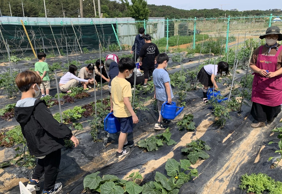 안산시는 도시농업 활성화를 위해 올해 11월까지 관내 학교 및 기관을 대상으로 한 ‘텃밭 교육 프로그램’을 실시한다. 사진=안산시