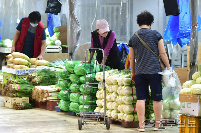 최근 계속된 폭우로 배추값이 폭등한 가운데 16일 인천 남동구 남촌농산물도매시장에서 시민들이 배추를 구매하고 있다. 이날 배추 가격은 한묶음(배추 3통)에 2만3천원~2만5천에 거래 됐다. 정선식기자