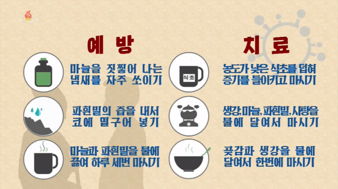 조선중앙TV가 ‘돌림감기(독감)의 예방과 치료에 좋은 민간료법’에서 소개한 독감 예방법과 치료법. 조선중앙TV 캡처