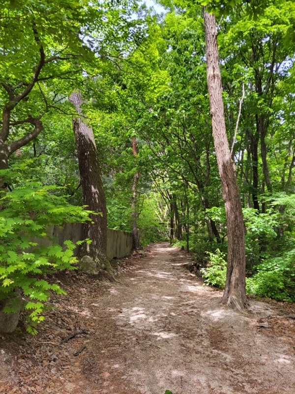 의정부시 ‘자연과 나를 만나는 길, 의정부 부용길’이 경기도 역사·문화·생태 관광 융합콘텐츠 개발 공모에 선정됐다. 사진=의정부시청