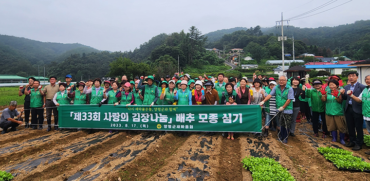 양평군 새마을회가 지난 17일 ‘제33회 사랑의 김장 나누기’ 행사를 위해 배추 모종 5천 포기를 심었다. 사진=양평군청