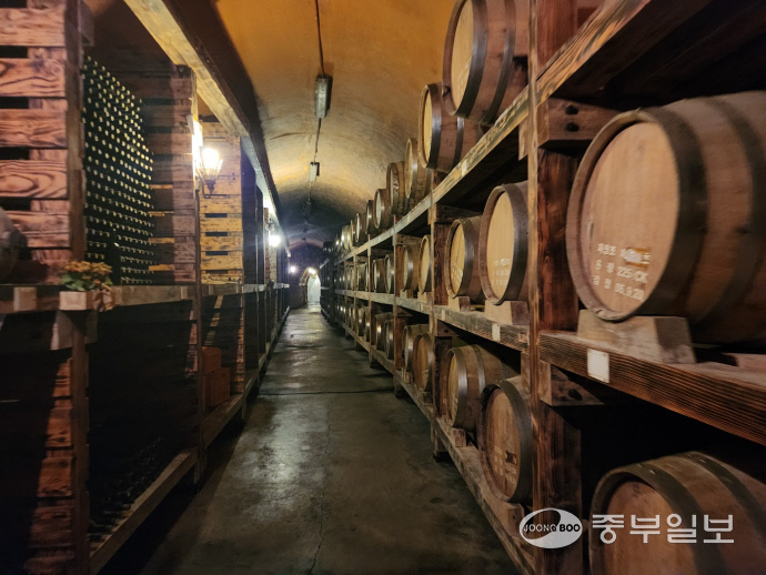 드라마 ‘호텔델루나’, ‘술꾼도시여자들2’ 한 장면의 배경이 된 파주시 적성면 산머루농원의 지하 와인 숙성 창고 터널의 모습. 신연경 기자