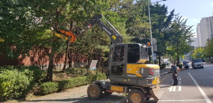 은행나무열매를터는모습