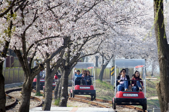 의왕레일바이크가 2024학년도 대학수학능력시험을 마친 수험생들을 위해 12월 31일까지 할인 이벤트를 진행한다. 사진=(주)경기의왕레일파크