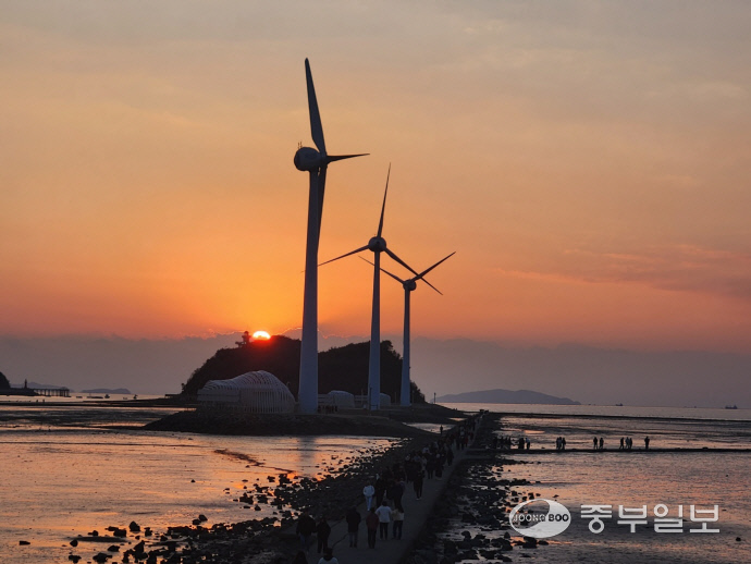 지난 6일 찾은 123번 버스 종점인 탄도항에서 바라본 일몰. 신연경 기자