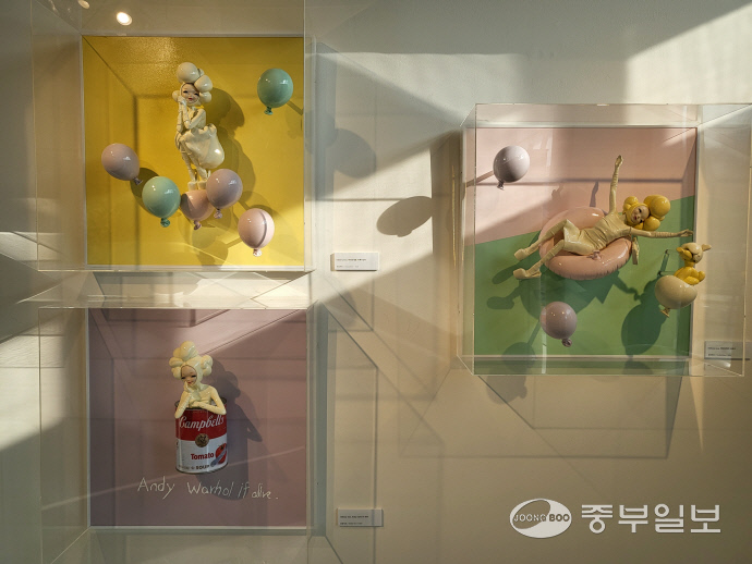 확대이미지