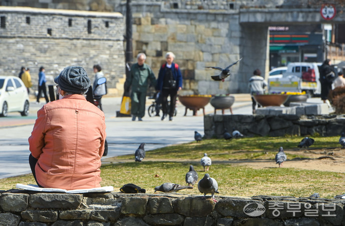 14일 오후 수원시 장안구 장안공원에서 비둘기들이 시민들이 던져놓은 먹이를 먹기 위해 모여들고 있다. 임채운기자