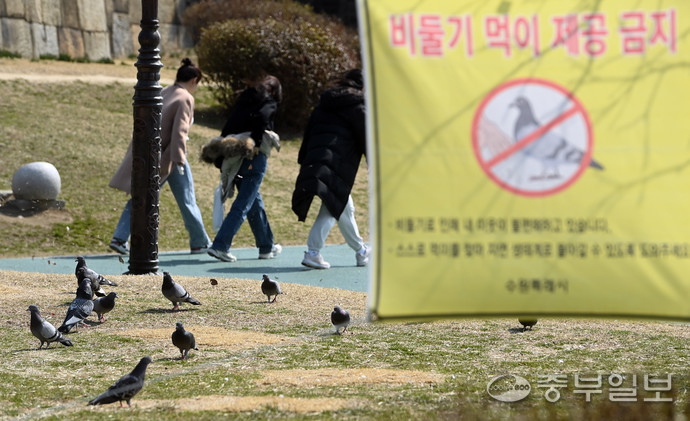 14일 오후 수원시 장안구 장안공원에 '비둘기 먹이 제공 금지' 현수막이 걸려 있다. 임채운기자