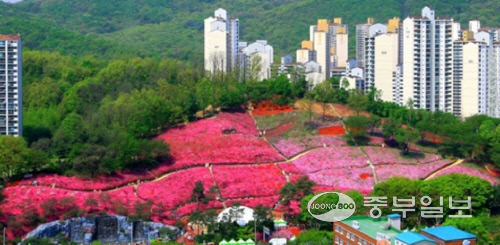 하늘에서본 군포철쭉동산 모습. 사진=군포시청