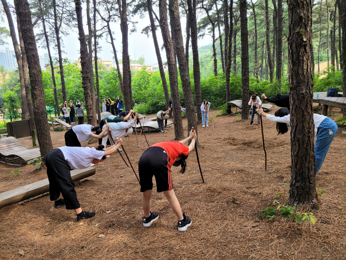 산림치유 프로그램