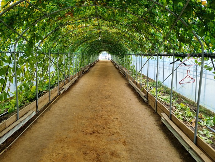 양평군에 조성된 맨발걷기길의 모습. 사진=양평군청