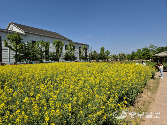 평택시농업기술센터에 꽃이 피어있다. 이성관 기자