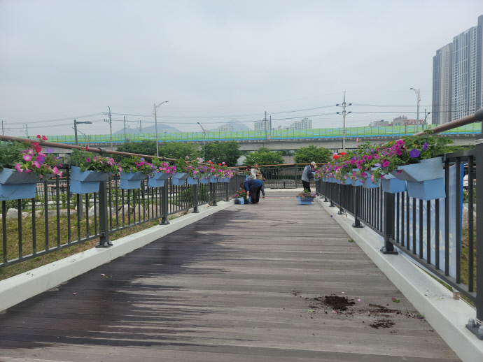 구리시 갈매동 주민숙원사업 ‘매화교 난간 화분 설치’