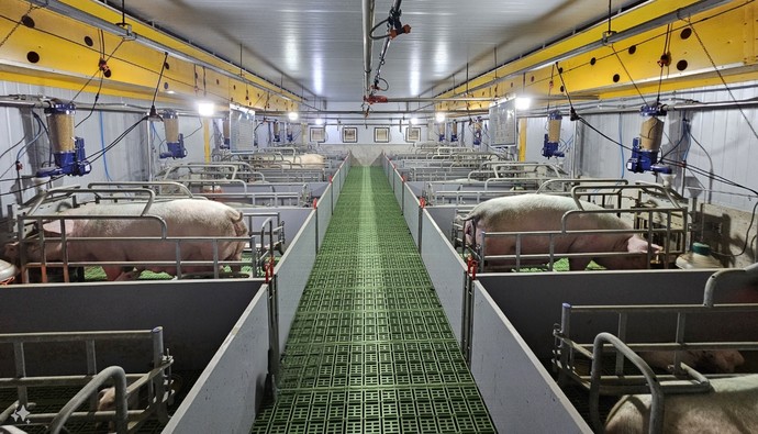 여주시가 축산분야 ICT 융복합 확산사업을 추진한다. 사진=여주시