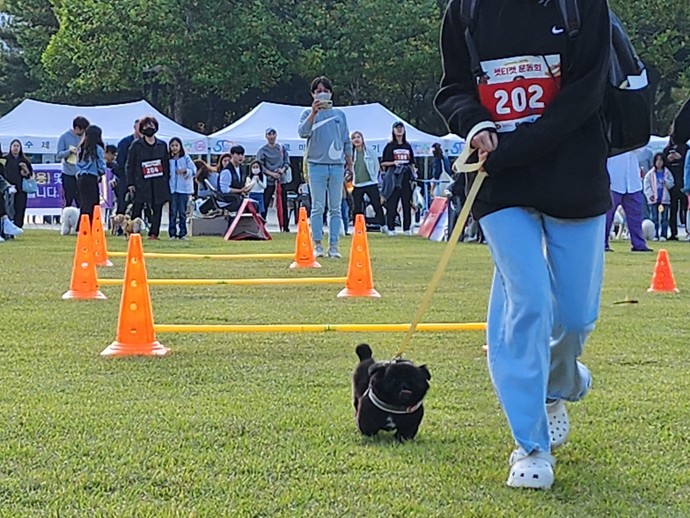 2023년 안양시 반려동물 축제 현장. 사진=안양시