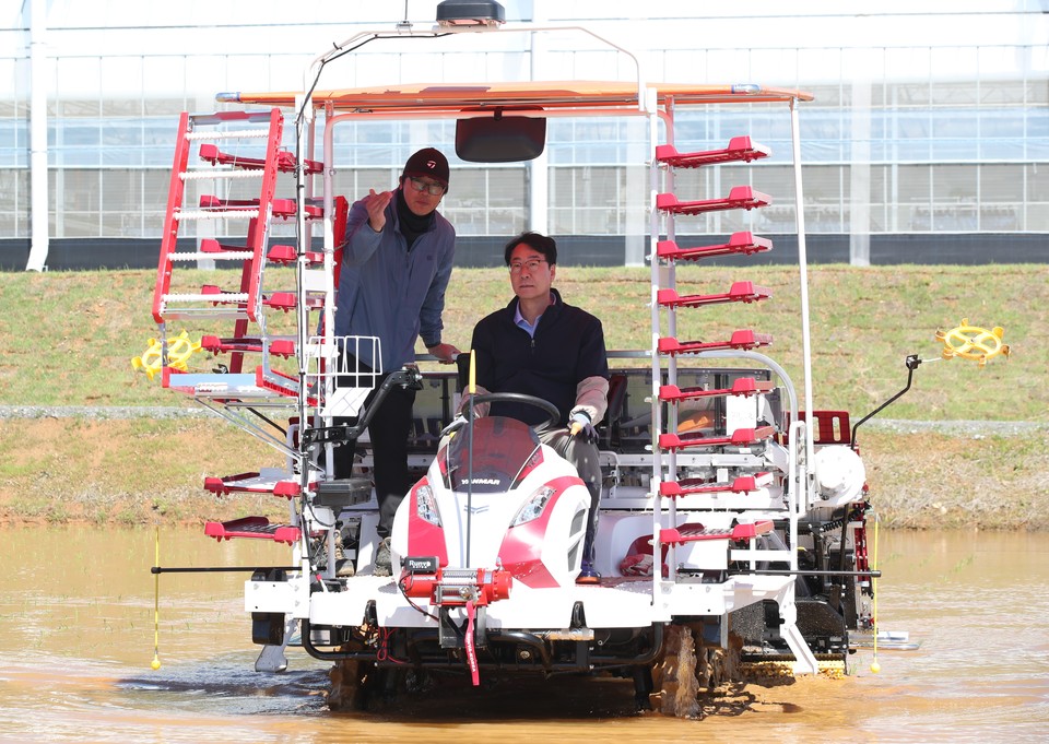 16일, 화성시장(정명근)이 모내기 시연에 나섰다. 사진=화성시