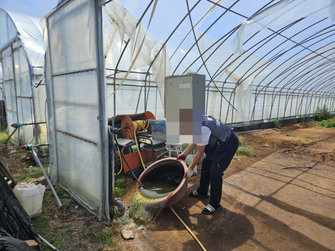 이천시 한 비닐하우스 농가가 고인물에서 발생할 수 있는 모기를 차단하기 위해 수시로 물갈이를 하고 있다. 사진=이천시청