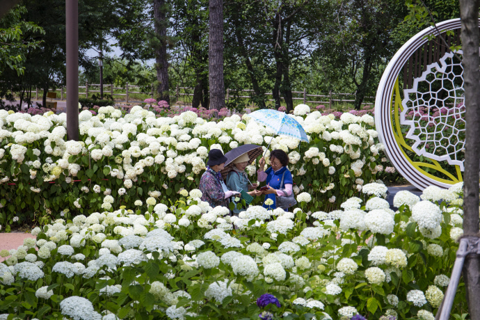 1-3 [포토뉴스] 여름을 알리