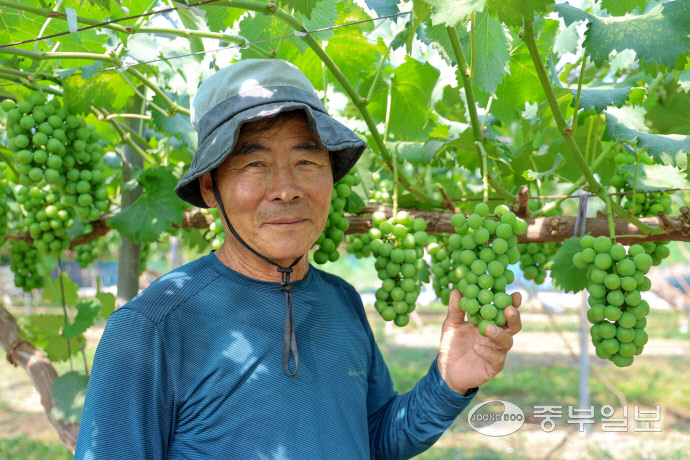 권영걸 대표가 자신의 포도를 소개하고 있다. 사진=조성윤기자