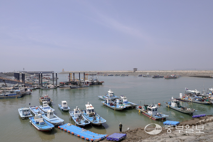 궁평항 전경. 사진=이성관기자