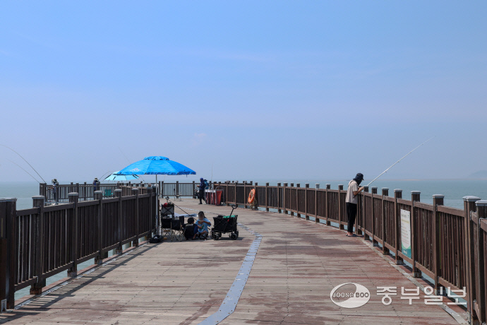 시민들이 궁평항 바다낚시터에서 낚시를 즐기고 있다. 사진=이성관기자