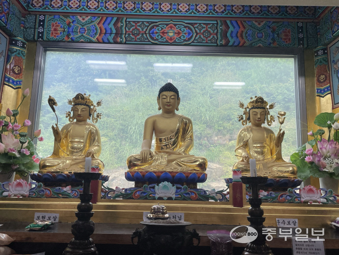 대웅전에 봉안된 석가모니불. 사진=김지영